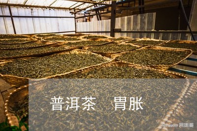 普洱茶 胃胀/2023042995699